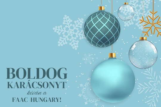 Kellemes Ünnepeket kíván a FAAC Hungary csapata! Találkozzunk 2023-ban is!